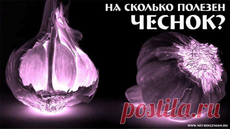 11 аргументов пользы чеснока для здоровья, которые вас удивят 

Это растение применяется до сих пор при повышенном кровяном давлении, при туберкулёзе, при простуде и гриппе, при стопе атлета.

Есть предположение, что чеснок является также афродизиаком.