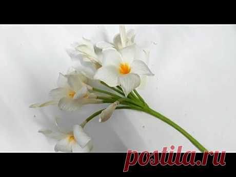 DYI - Craft tutorial - How to make paper flower - Fragipane  -  by crepe paper - hoa sứ giấy nhún