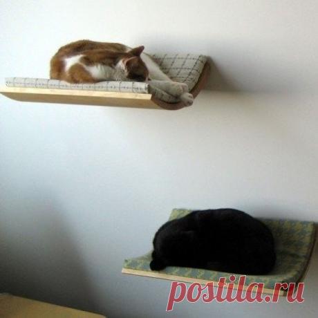 Дизайн для домашнего уюта