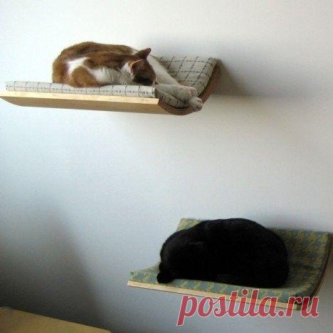 Дизайн для домашнего уюта