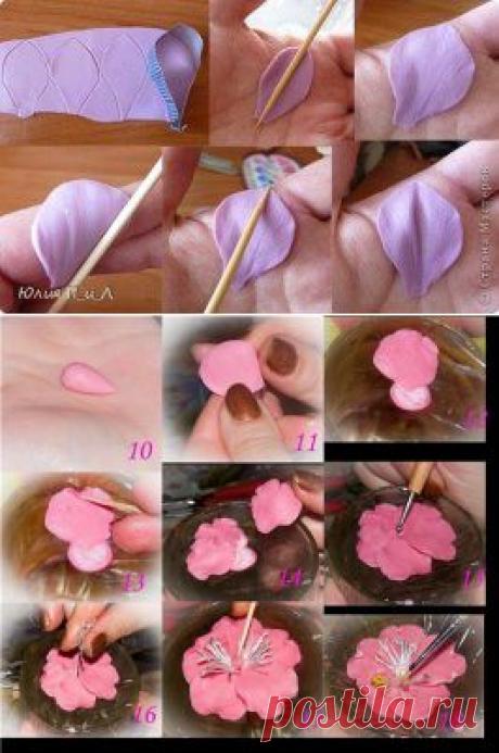 (5) Одноклассники