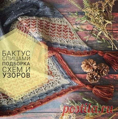Вязание бактуса спицами, больше 20 моделей с описание и видео-уроками, Вязание для женщин