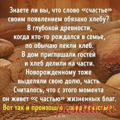 #цитаты