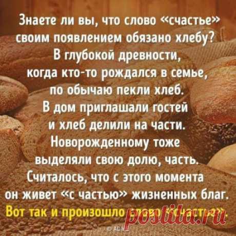 #цитаты