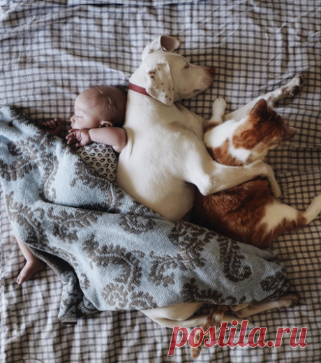 Elizabeth в Instagram: «I'm so immensely honoured to