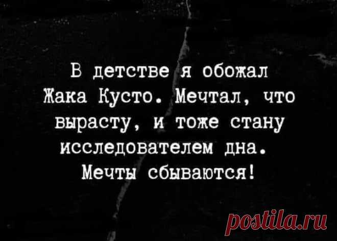 Свобода 2023