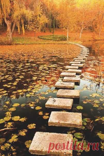 дорожка в рыжую ОСЕНЬ!