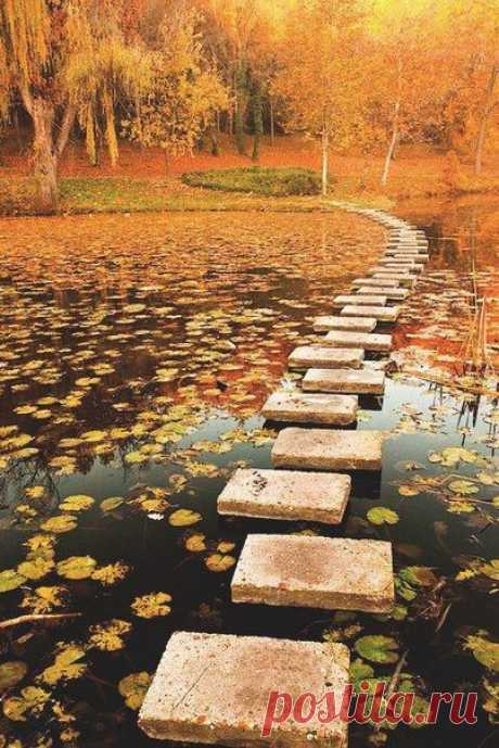 дорожка в рыжую ОСЕНЬ!