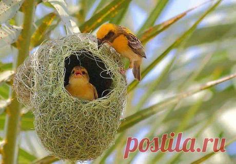 Интересные новости