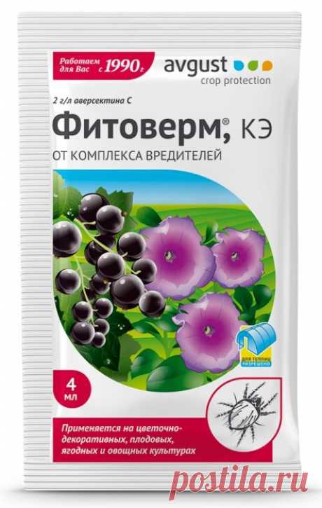 Листья перца в дырочках — чем обработать