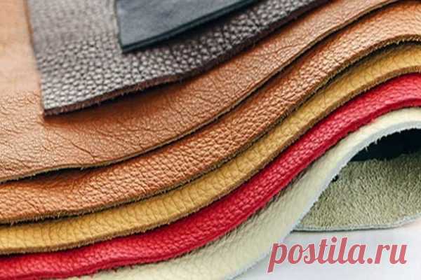 Как отличить кожу от фальшивки – БУДЬ В ТЕМЕ