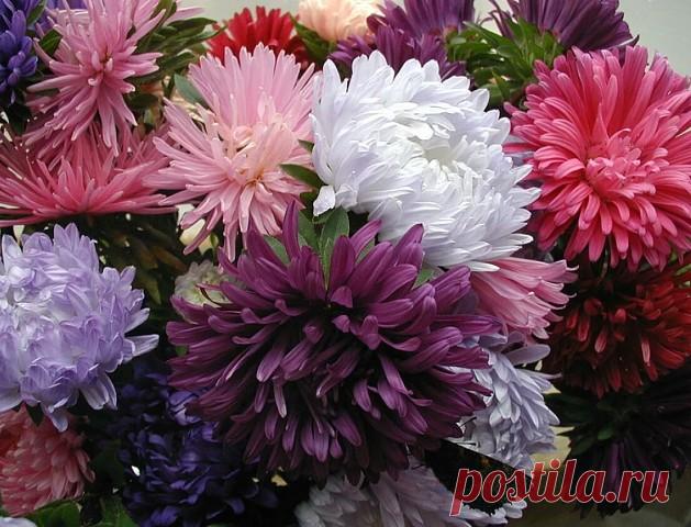 СЕНТЯБРЬСКИЕ,С ДНЕМ РОЖДЕНИЯ!!!
Сердечно поздравляем с днем рождения,
Чудесною сентябрьскою порой!
Пусть Вас не покидает вдохновение,
Наполнив жизнь безмерной теплотой!
Желаем счастья самого большого,
Идей успешных, новых перспектив,
Добиться достижений славных много,
Мечты свои в реальность воплотив!
Пускай здоровьем, бодростью, весельем,
Вас ежедневно радует судьба,
Уводит прочь тревоги и волнения,
Оставив в жизни радость навсегда!