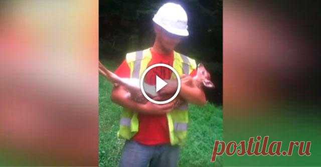 Смешное видео – приколы, юмор, забавное видео  - TimeAllNews