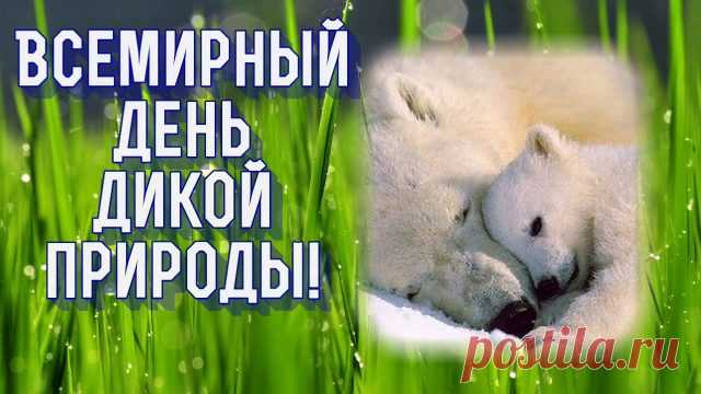 Всемирный праздник отмечаем,
Мы дань природе отдаем,
Давайте чистой, первозданной
Ее мы с вами сбережем.