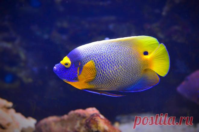 b-14445.jpg (1280×854)