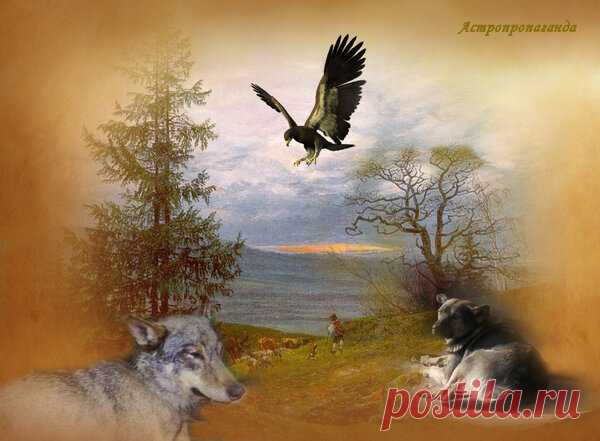 9 июня 2019. Магия лунных и солнечных суток | Астропропаганда | Яндекс Дзен
Автор: астролог Нина Стрелкова. 9 июня 2019. День связан с силой земли, воздушной стихией и очищающим действием огня. Это день пробуждения энергии, контакта с духами природы и привлечения изобилия. В этот день сильна магия слова, но пустая болтовня и сплетни в этот день лишают человека силы и удачи, ухудшает отношения с людьми. Нельзя в этот день выносить сор из своего дома во всех смыслах слова...