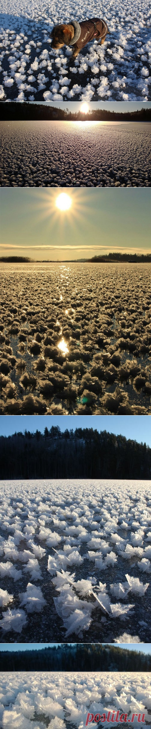 Ледяные цветы на замерзшем озере - Путешествуем вместе