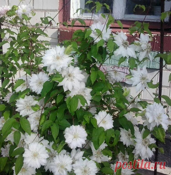 лена нечет (дьяченко)
54 года, Украина, Пятихатки
все её фото