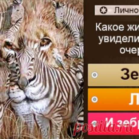 Какое животное бросилось в глаза первым? Ответ может растолковать ваши взгляды на жизнь - МирТесен