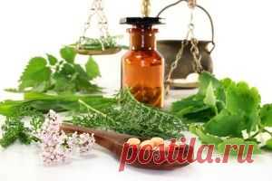 Рецепт растирки от радикулита