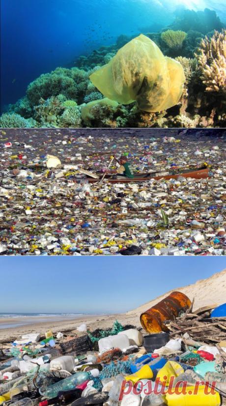 Бизнесмен купит у вас пластик