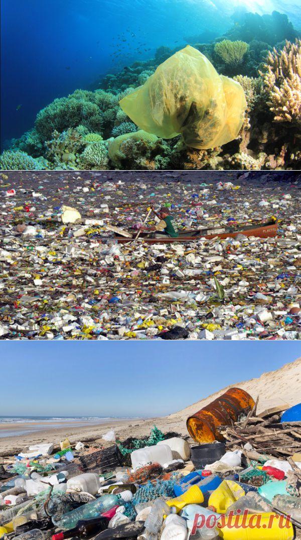 Бизнесмен купит у вас пластик