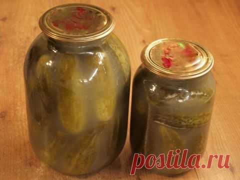 Огурцы солёные - Видео рецепт | Домохозяйки
Продукты:
- огурцы,
- листья хрена и вишни (смородины, дуба),
- 1 ст.ложка соли с горкой на два литра воды.