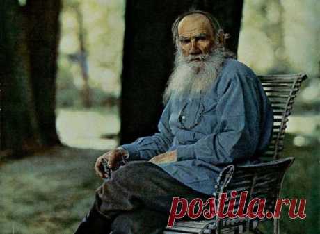 Правила самореализации от Льва Толстого | Верхосвет