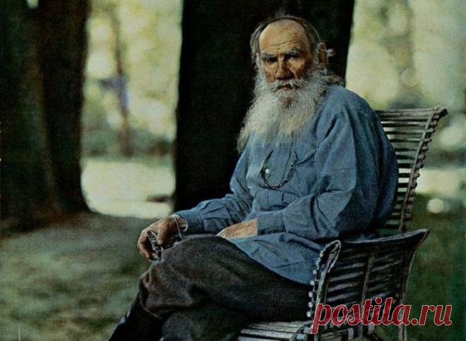 Правила самореализации от Льва Толстого | Верхосвет