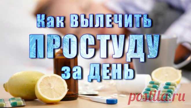 Как Вылечить Простуду за Сутки — Советы Эксперта В холодную погоду простудиться ничего не стоит. Намного сложнее быстро встать на ноги. Профессор Рон Экклз (Ron Eccles) из Центра изучения простуды