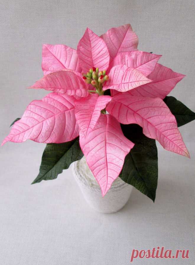 С наступающим Новым годом, друзья! Пусть новый год принесет радость, счастье и исполнение всех ваших желаний!