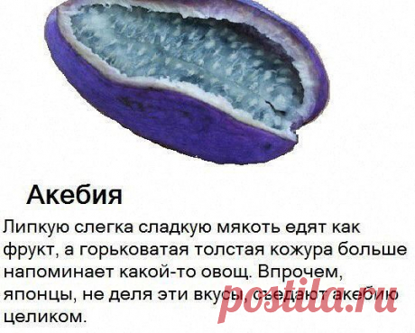 Приложение &quot;Открытки&quot;
Танюль Львенок Независимый