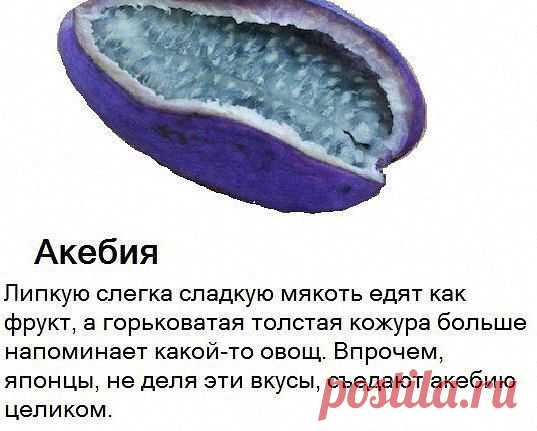 Приложение "Открытки"
Танюль Львенок Независимый