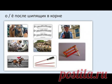17. Гласные О / Ё после шипящих (ж, ш, ч, щ) в корнях. 5 класс