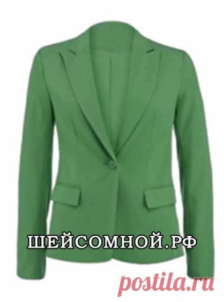 Выкройка пиджака - Шей со мной