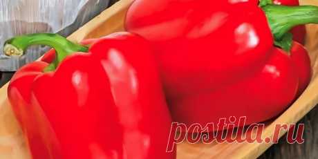 Перец Адмирал Ушаков F1: описание и характеристика сорта с фото, отзывы о вкусе и урожайности, особенности выращивания