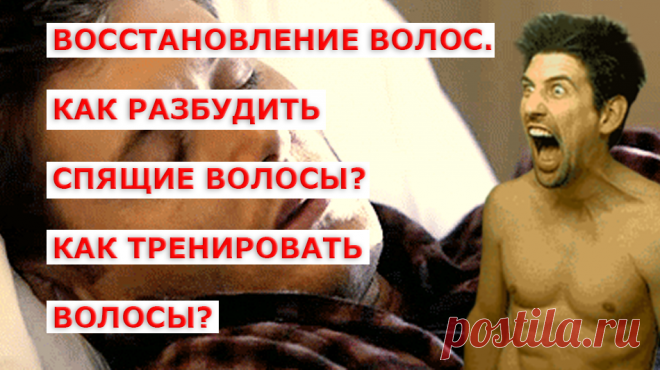 Каждый волос на нашей голове живет по своему «индивидуальному графику». Отдельные волосы в данный момент находятся на разных стадиях своего жизненного цикла. Так 85% волос находятся в фазе активного роста, так называемогог анагена. 1% в фазе покоя, так называемого катагена. 14% в стадии выпадения - это третья фаза жизненного цикла волос называется телоген. В этой фазе волос не только больше не растет, но и перестает удерживаеться в дерме и постепенно выпадает в течении 2–3 мес. Эту фазу называют