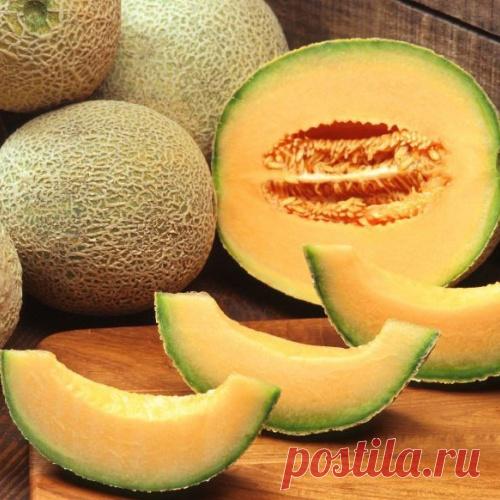 Волшебство простой дыни