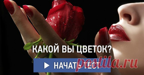 Какой вы цветок?