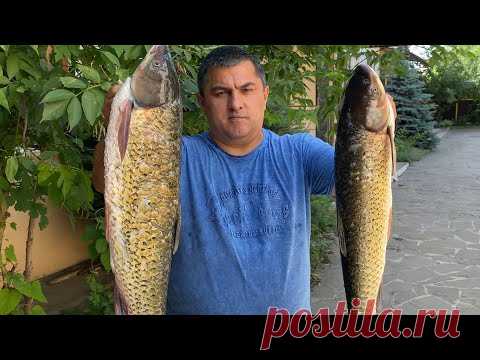 НИКОГДА НЕ ЖАРЬ РЫБУ НЕ ПОСМОТРЕВ ЭТО ВИДЕО! Рецепты от Мурата.