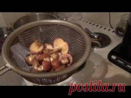 Маринование маслят и как быстро снять пленочку с шапки масленка грибы - YouTube