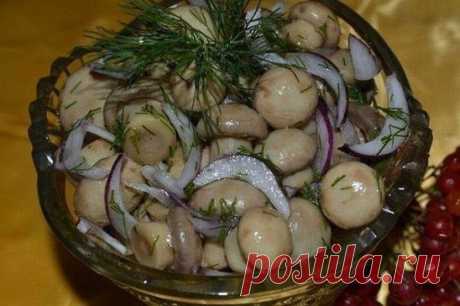 МАЛОСОЛЬНЫЕ ШАМПИНЬОНЫ на скорую руку — мировой рецептик! 
 
Рецепт просто сногсшибательный! Все наши гости говорят, что магазинные маринованные шампиньоны сидят и нервно курят в углу! Хотите порадовать и удивить гостей чем-то необычным и вкусным! Вы готовили малосольные шампиньоны? Нет?! 
Начну с совета: грибы лучше покупать мелкие, т.к. они будут аппетитнее смотреться в блюде! Крупные грибы рекомендуется разрезать на 2-3 части по вертикали, чтобы на срезе была форма грибка. 
 
Первый способ: