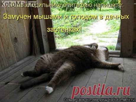 Уютно, комфортно и доступно | KotoMail.ru