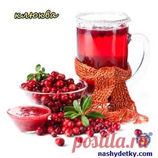Ягоды для детей (полезные свойства лесных ягод)