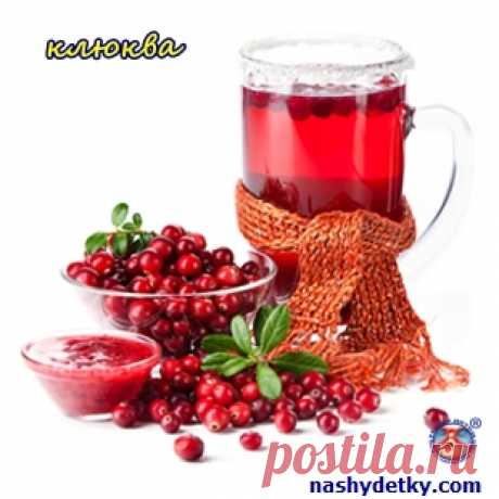 Ягоды для детей (полезные свойства лесных ягод)