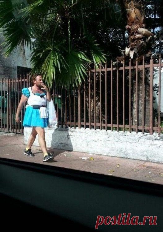 Фотоподборка Дня