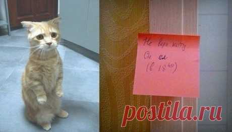 ПОЛНАЯ РЖАКА!