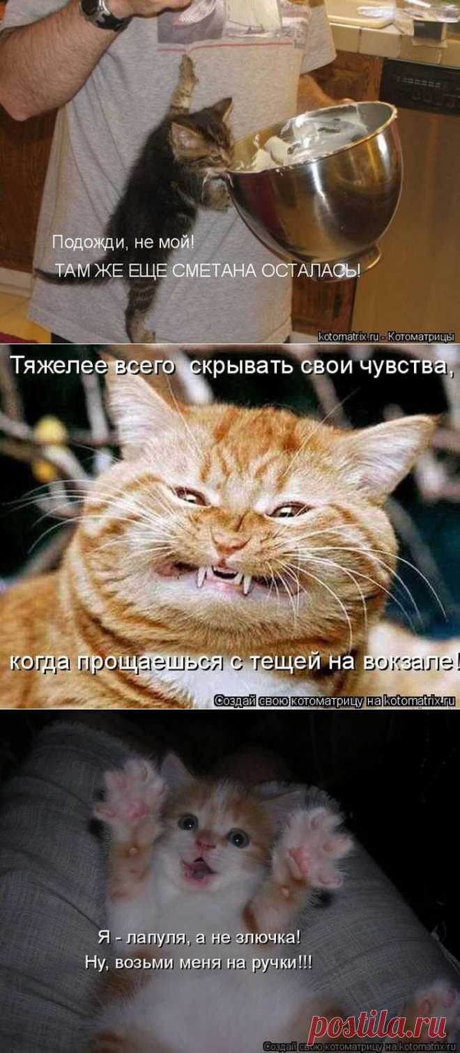 Мысли вслух - 30 Мая 2015 - Наша Планета.Мир вокруг нас - Наша Планета.Мир вокруг нас