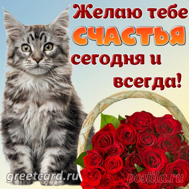 Я не стану желать тебе много,
Прекрасной, пусть будет дорога,
Успех окружает, а также — семья,
Желаю достатка, друг, тебе я!