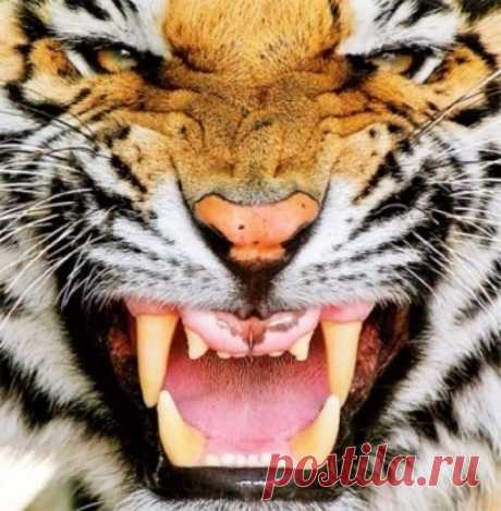 the kingdom &lt; michael juiliano - Keeeb - image #5200373 by worldwyde1 on Favim.com